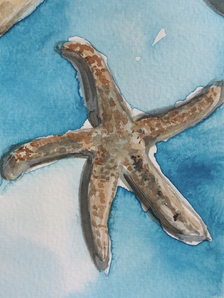 Detail of the Seashells watercolor painting